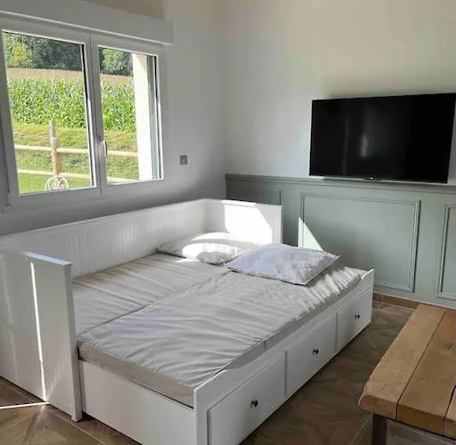 Les Bois D Orceil Ferienhaus La Gohanniere